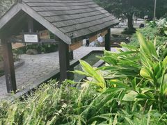 -融汇温泉