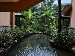 -七仙岭温泉国家森林公园