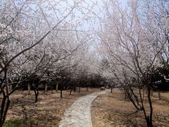 -绿堤公园