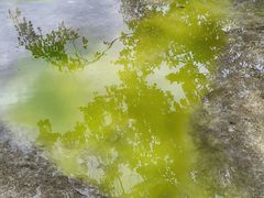 -白水台