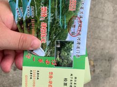 -兰溪地下长河