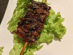 -老万烧烤(典逸心洲店)