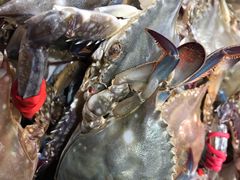 -丹东汇侨希尔顿花园酒店自助餐