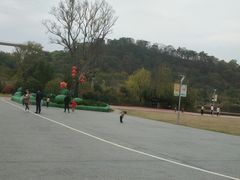 -飞凤山奥体公园