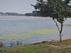 -丁香湖公园