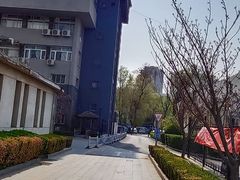 -中国中医科学院望京医院(院本部)