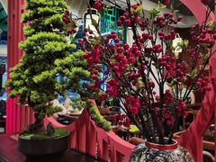 -禧鳳記·猪肚鸡火锅(玖洲道店)