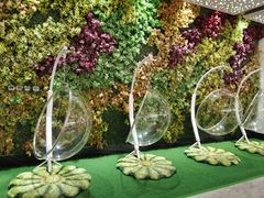 -青水瓦台汤泉(未央店)