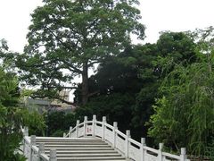 -小洲村