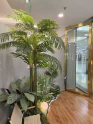 点击看大图 -八佰伴8008星级形象店