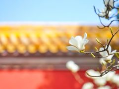 -北京市劳动人民文化宫(太庙)