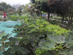 -洪湖家庭农场·团建·露营·会议