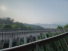 -福道