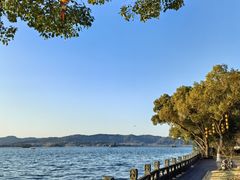 -杭州西湖柳莺里酒店·闻莺厅