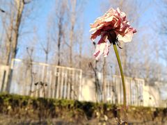 -清华大学玉泉医院