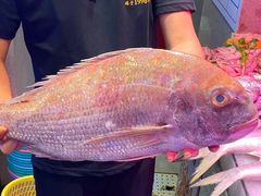 -东江海鲜大排档·潮汕菜·砂锅粥