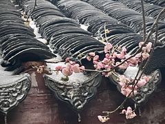 -惠山古镇·寄畅园