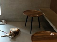 -Again Coffee Roaster(香蜜湖店)