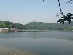 picture-悦湖公馆