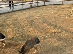 -祥源·阜阳生态乐园