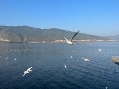 -海埂大坝