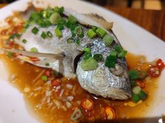 清蒸黄翅鱼-全渔村小海鲜