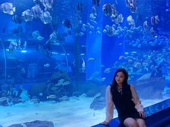 -顺德南宏海立方海洋公园