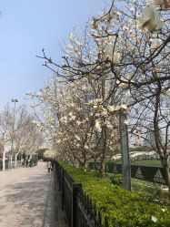 -京都造型·烫发·染发