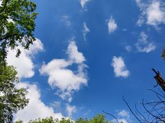 -大青沟风景区