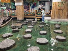 -上海大自然野生昆虫馆(东方明珠·爬宠昆虫探索中心)