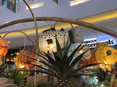 -船歌·鱼水饺青岛菜(枫蓝国际购物中心店)