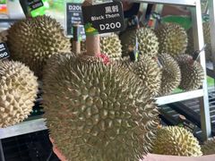 -榴莲BB 四季果园