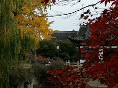 -常熟方塔园