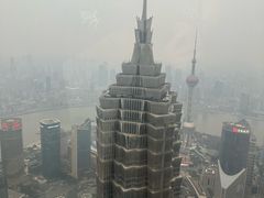 -The lounge 柏悦酒店大堂酒廊(上海环球金融中心店)
