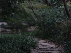 -中国茶叶博物馆(双峰馆区)