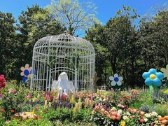 -上海共青森林公园