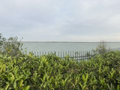 -江滩湿地公园