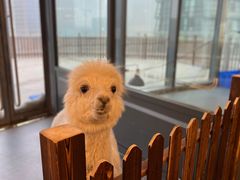 -FAIRYLAND龙族星球主题餐厅(凯丹广场店)