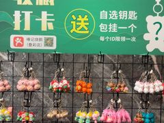 -椿记烧鹅(叠彩店)