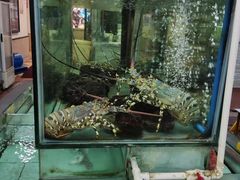 -寻味顺德·南记酒家·传统顺德菜·鱼生(广源路店)