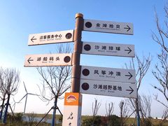 -启东黄金海滩景区