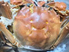 -七的湖·晚芳亭·阳澄湖农家菜·大闸蟹(莲花岛店)