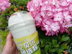 -茉酸奶(春熙路店)