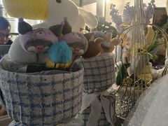 -利星行天竺之星汽车有限公司