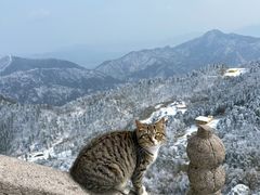 -九华山风景区