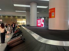 -青岛胶东国际机场
