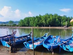 -大亚湾红树林城市湿地公园