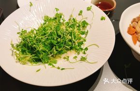 Oil Vinegar Dressing with Celery Leaves