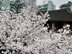 -杭州市第一人民医院(湖滨院区)