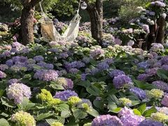 -名花谷生态庄园